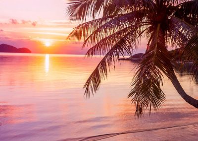 Floridarundreise